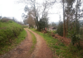 Terreno no urbanizable en venta en Barro ref: TR23120 foto