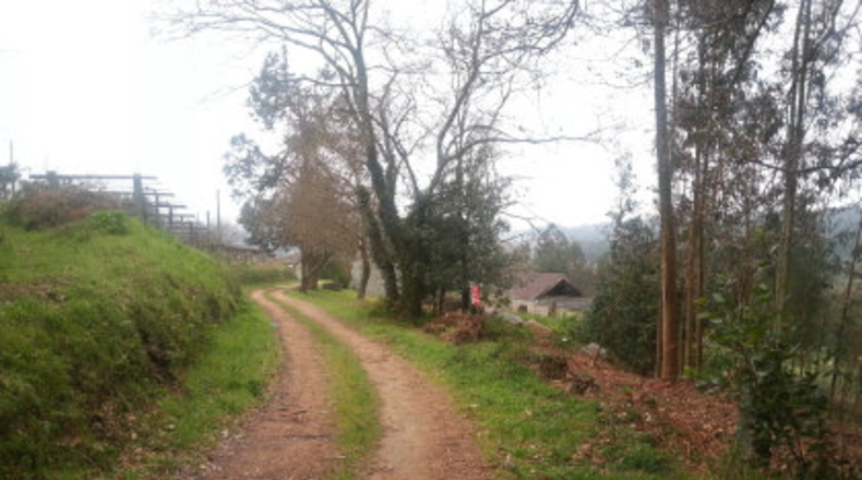 Pontevedra - Porto Romeu - 1756m2