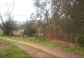 Terreno no urbanizable en venta en Barro ref: TR23120 foto