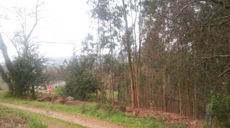 Pontevedra - Porto Romeu - 1756m2
