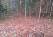 Terreno no urbanizable en venta en Barro ref: TR23120 foto