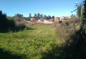 Non-developable land for sale in Sanxenxo ref: TR21781 photo