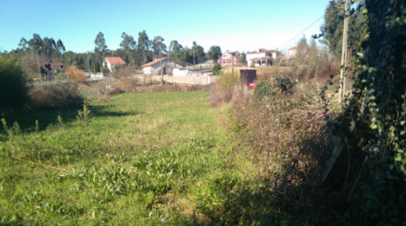 Pontevedra - A Carabuxeira - 1096m2