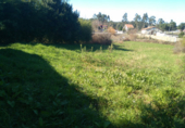 Non-developable land for sale in Sanxenxo ref: TR21781 photo