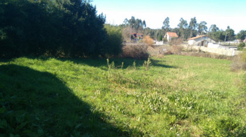 Pontevedra - A Carabuxeira - 1096m2