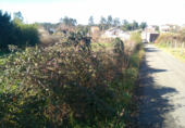 Non-developable land for sale in Sanxenxo ref: TR21781 photo