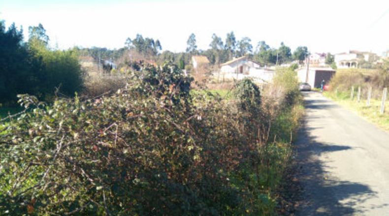 Pontevedra - A Carabuxeira - 1096m2