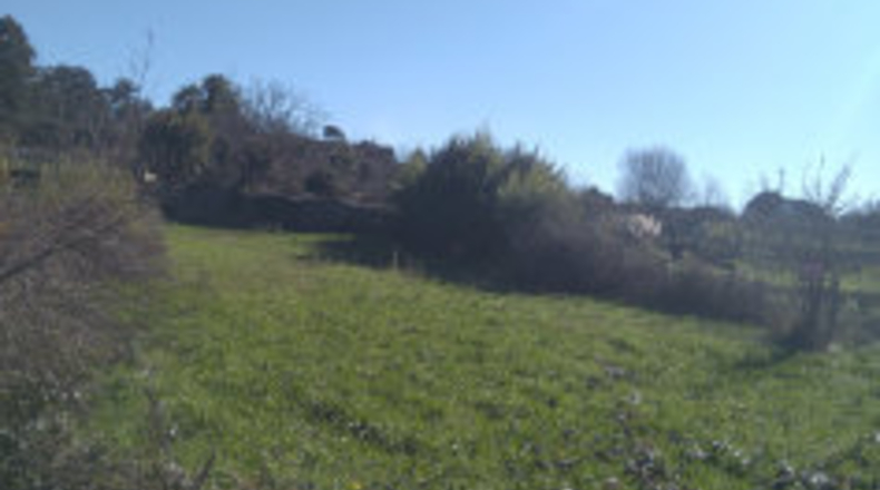 Pontevedra - A Carabuxeira - 1096m2
