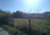Non-developable land for sale in Sanxenxo ref: TR21781 photo