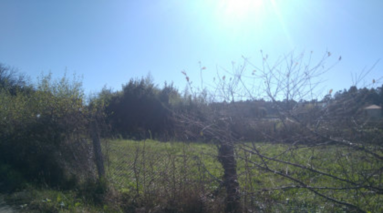 Pontevedra - A Carabuxeira - 1096m2
