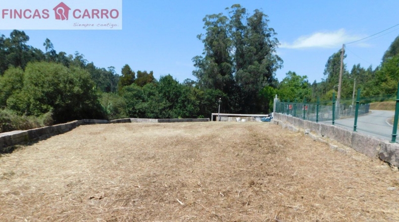 Pontevedra - Pontevedra - 5000m2