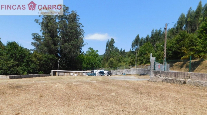 Pontevedra - Pontevedra - 5000m2
