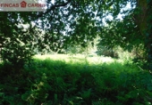 Non-developable land for sale in Pontevedra ref: TR52853 photo