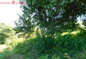 Non-developable land for sale in Pontevedra ref: TR52853 photo