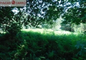 Non-developable land for sale in Pontevedra ref: TR52853 photo