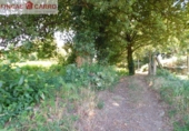 Non-developable land for sale in Pontevedra ref: TR52853 photo