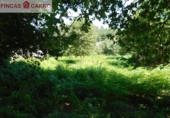 Non-developable land for sale in Pontevedra ref: TR52853 photo