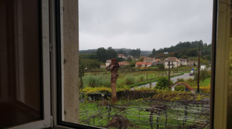 Pontevedra - Carballeira - 1800m2