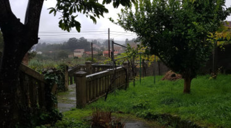 Pontevedra - Carballeira - 1800m2