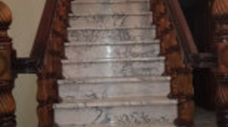 Pontevedra - Carballeira - 1800m2