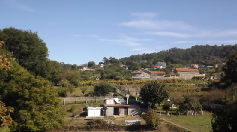 Pontevedra - Rorís - 5500m2