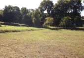 Non-developable land for sale in Pontevedra ref: TR21784 photo