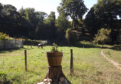 Non-developable land for sale in Pontevedra ref: TR21784 photo