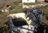 Non-developable land for sale in Pontevedra ref: TR21784 photo
