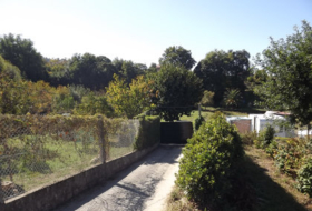 Foto 13