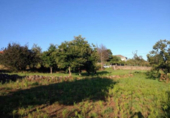 Urban land for sale in Caldelas ref: TR21785 photo