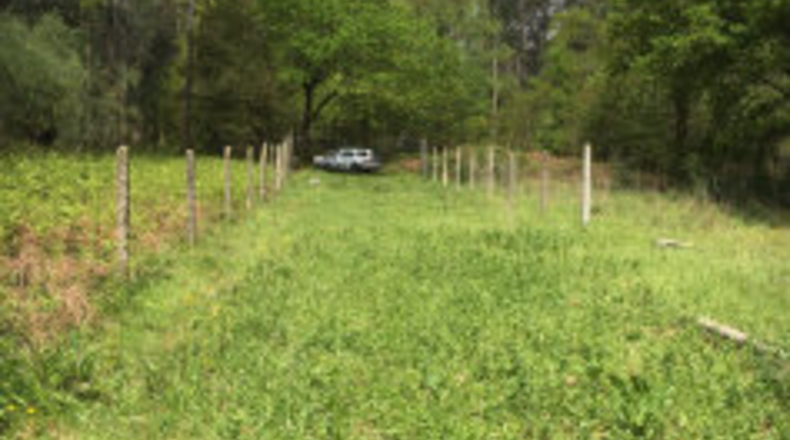 Pontevedra - San Martín - 600m2