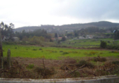 Non-developable land for sale in Pontevedra ref: TR81446 photo