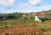 Non-developable land for sale in Pontevedra ref: TR81446 photo