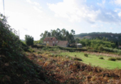 Non-developable land for sale in Pontevedra ref: TR81446 photo