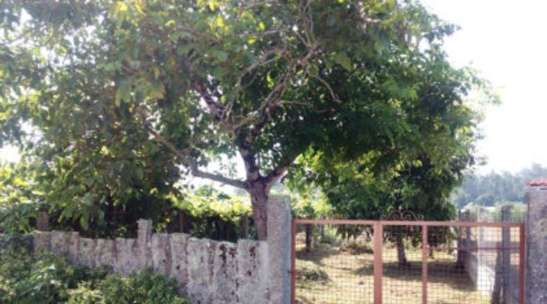 Pontevedra - Vilabar de Abaixo - 300m2