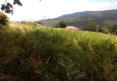 Terreno no urbanizable en venta en O Lameiro ref: TR21786 foto