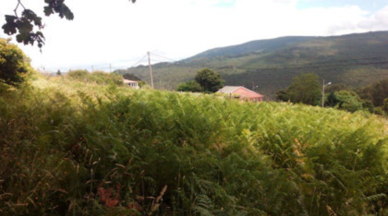 Pontevedra - Lameiro - 946m2