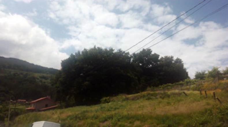 Pontevedra - Lameiro - 946m2