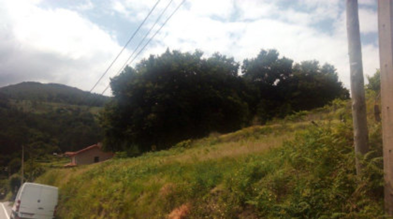 Pontevedra - Lameiro - 946m2