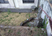 Дом с участком на продажу в городе Beariz. Фото