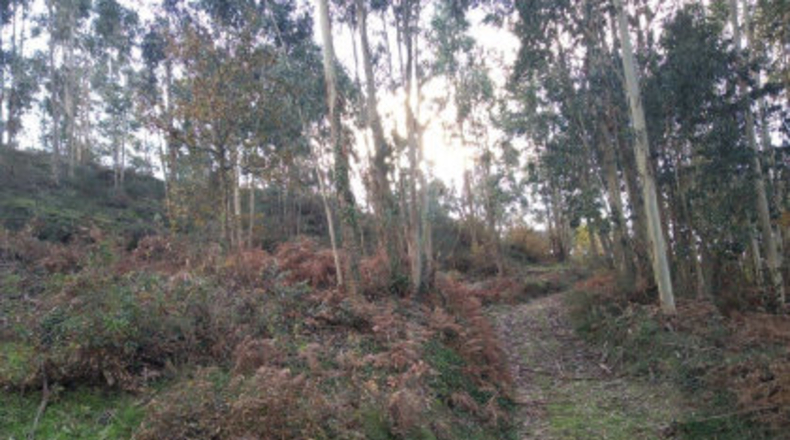 Pontevedra - Poio - 38000m2