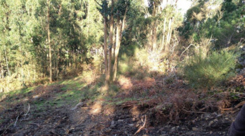 Pontevedra - Poio - 38000m2
