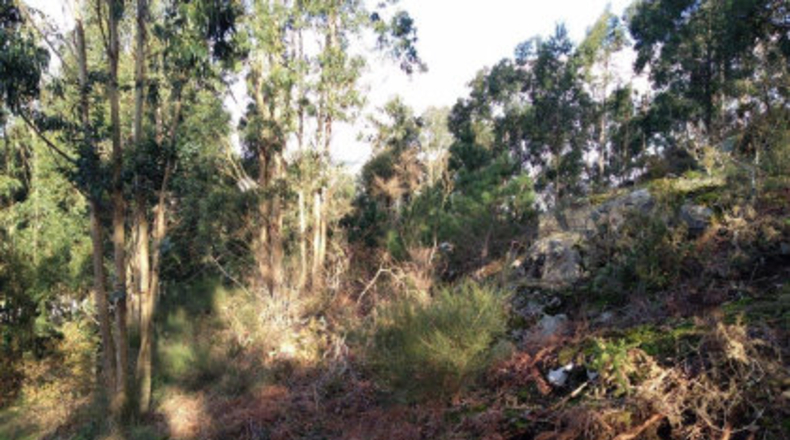 Pontevedra - Poio - 38000m2