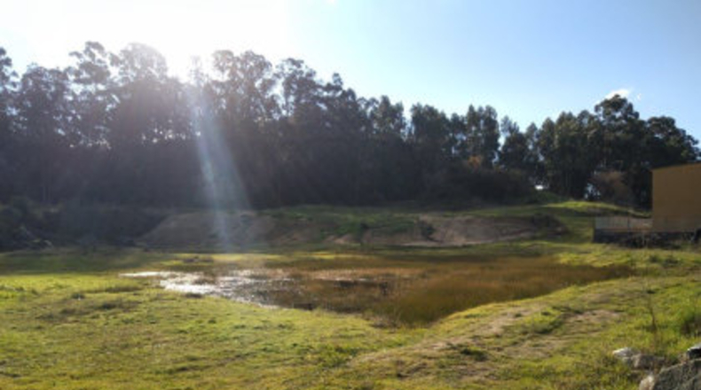 Pontevedra - Poio - 38000m2