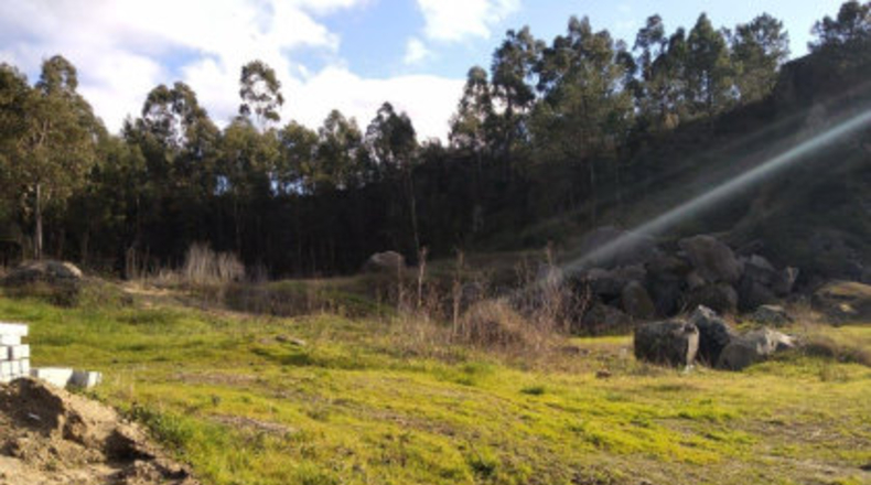 Pontevedra - Poio - 38000m2