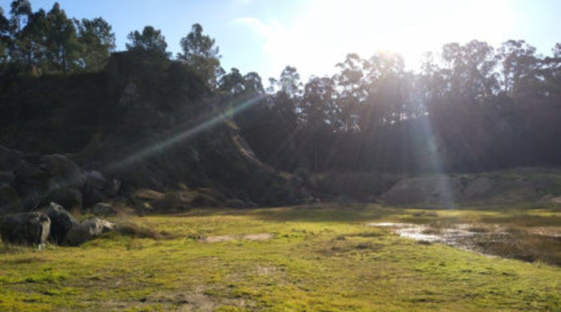 Pontevedra - Poio - 38000m2