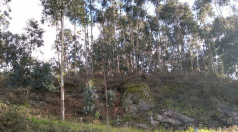 Pontevedra - Poio - 38000m2