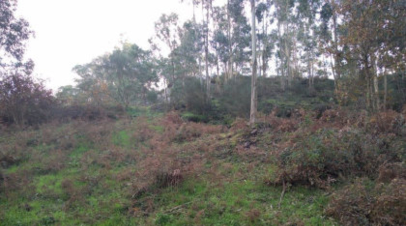 Pontevedra - Poio - 38000m2