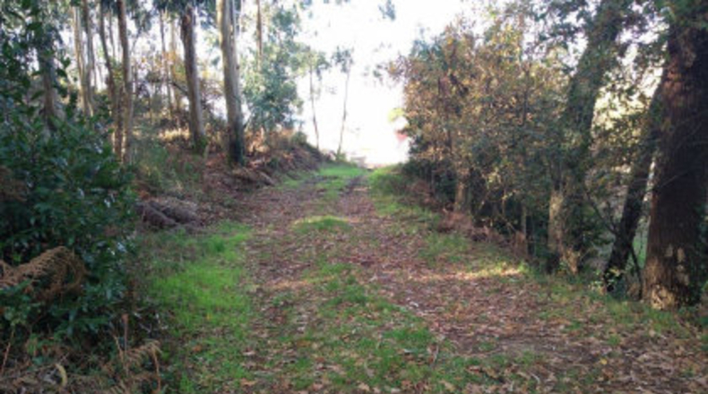 Pontevedra - Poio - 38000m2