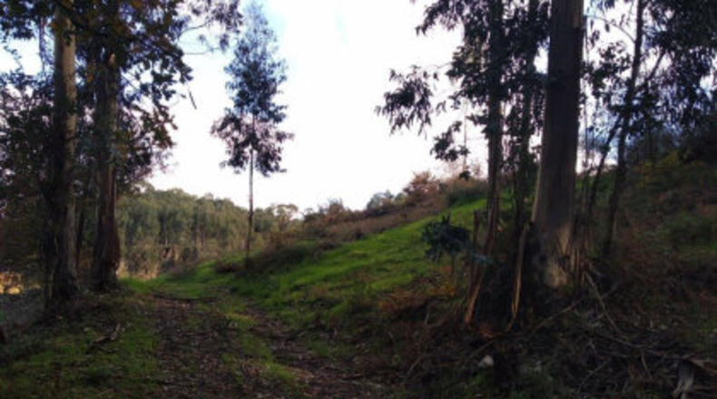 Pontevedra - Poio - 38000m2